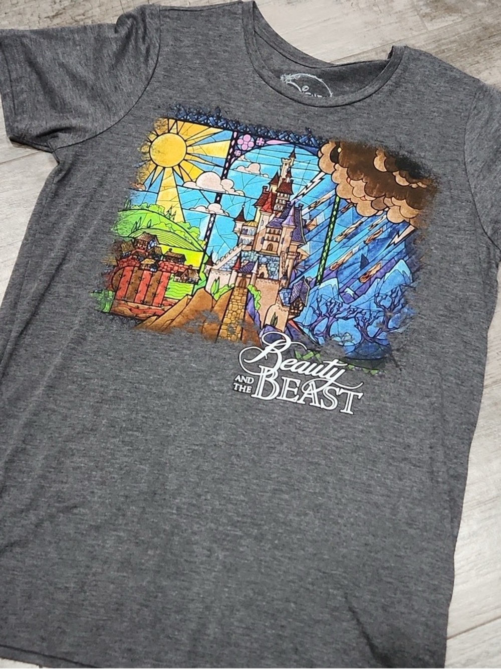 Beauty And The Beast - Gray Shirt - L - Disney